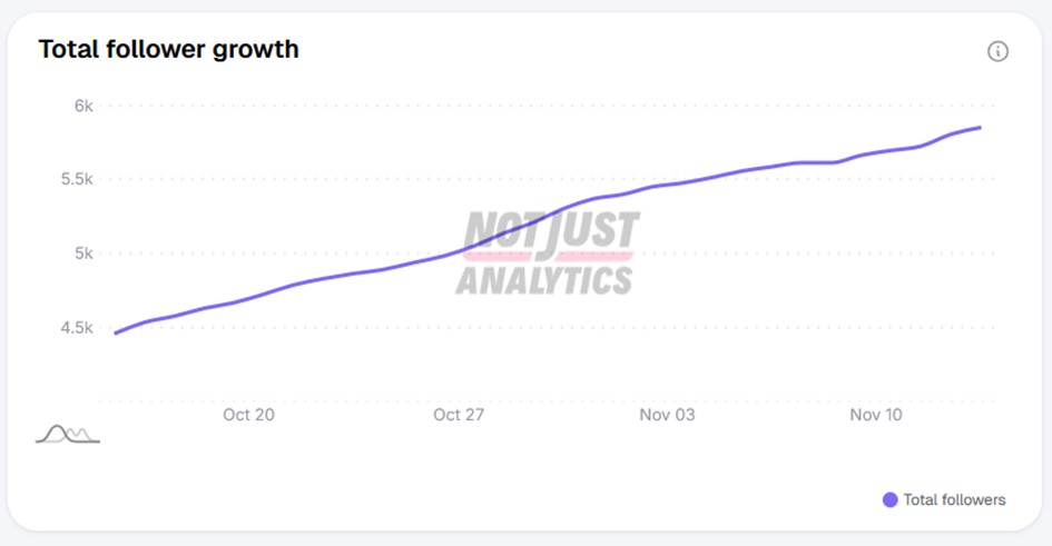 Outil audit Instagram évolution compte borntobecm_
